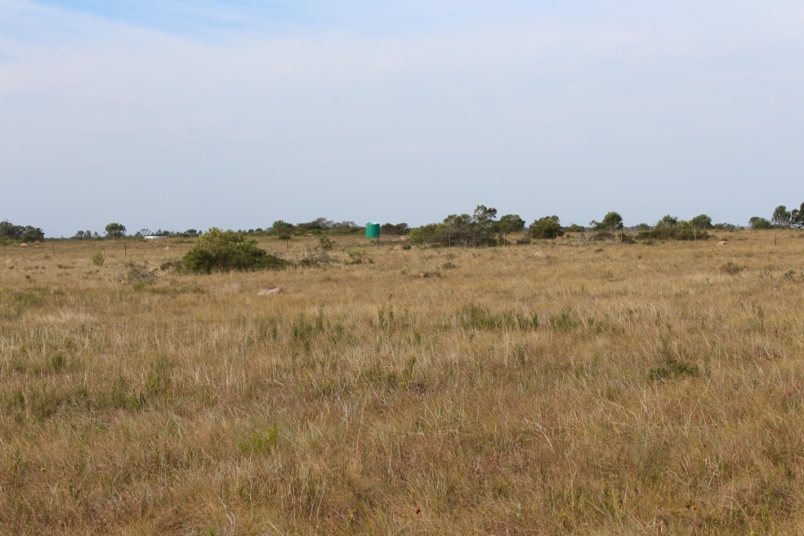 0 Bedroom Property for Sale in Bathurst Eastern Cape